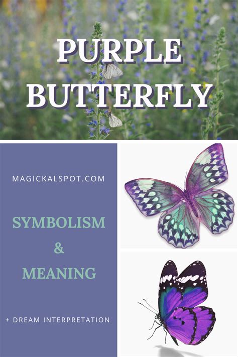 Exploring the Microcosmos: Butterfly Anatomy with the Magix Butterfly Net